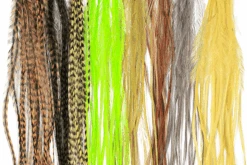 MFC - Whiting 100 Pack - Brown