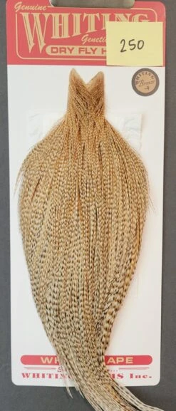 Flash Sale Hackle 250 - Whiting Cape Bronze - Barred Medium Ginger (sizes 8-22)