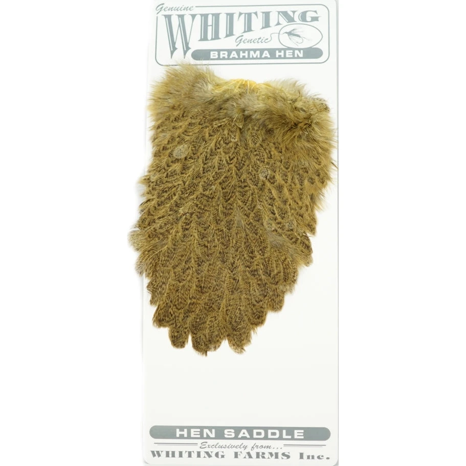 Whiting Brahma Hen Saddle 2 Whiting Brahma Hen Saddle - Image 2