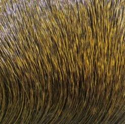 Hareline Dyed Deer Body Hair -Fishing Equipment Store Body Dark Brown