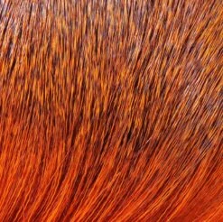 Hareline Dyed Deer Body Hair -Fishing Equipment Store Body Orange 086699e3 75f2 456c b14a 9e05e41ed44e
