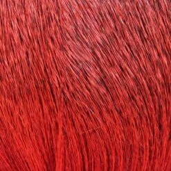 Hareline Dyed Deer Body Hair -Fishing Equipment Store Body Red