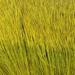 Hareline Dyed Deer Body Hair -Fishing Equipment Store Body Yellow 1016b537 d902 4800 92b8 f95019602250