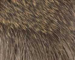 Hareline Coastal Deer Hair 8 Hareline Coastal Deer Hair -Fishing Equipment Store CBD1 1