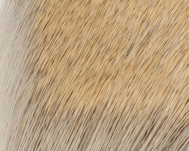 Hareline Coastal Deer Hair 2 Hareline Coastal Deer Hair - Image 2