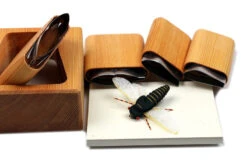 Hareline Periodical Cicada Cutter Set
