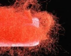 Sybai Fine Diamond Dubbing 29 Sybai Fine Diamond Dubbing -Fishing Equipment Store Diamond Bright Red