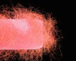 Sybai Fine Diamond Dubbing 8 Sybai Fine Diamond Dubbing - Image 8