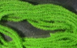 Hareline EZ Magic Dub -Fishing Equipment Store EZ Caddis Green