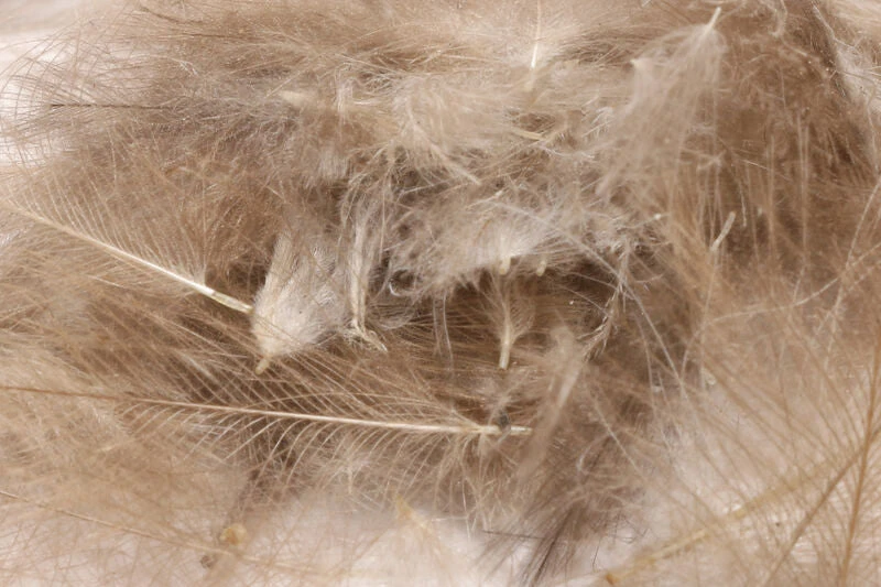 Hareline 1 Gram Bulk Pack CDC 2 Hareline 1 Gram Bulk Pack CDC - Image 2