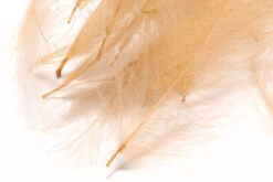 Hareline 1 Gram Bulk Pack CDC 15 Hareline 1 Gram Bulk Pack CDC -Fishing Equipment Store GCDC369