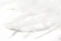 Hareline 1 Gram Bulk Pack CDC 16 Hareline 1 Gram Bulk Pack CDC -Fishing Equipment Store GCDC377