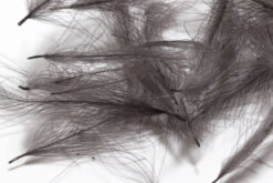 Hareline 1 Gram Bulk Pack CDC 19 Hareline 1 Gram Bulk Pack CDC -Fishing Equipment Store GCDC89