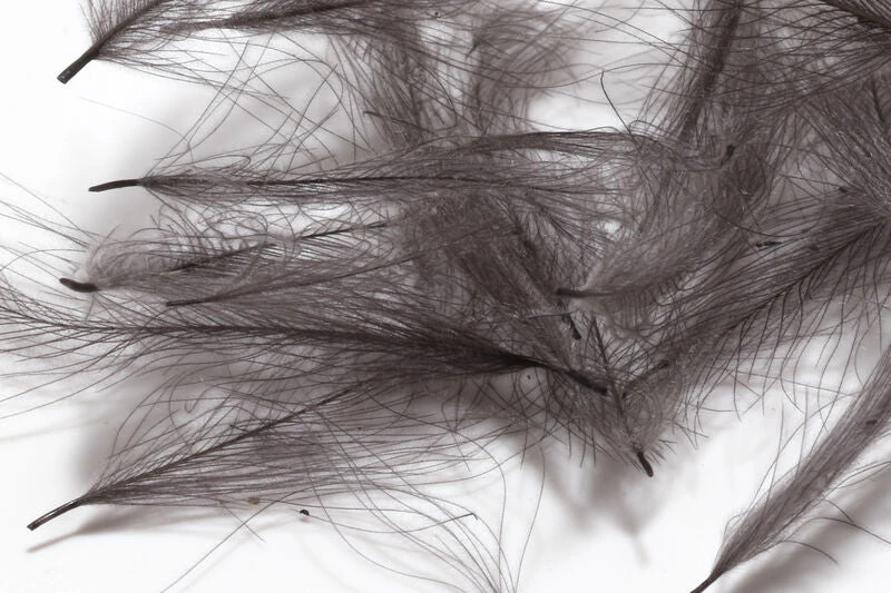 Hareline 1 Gram Bulk Pack CDC 10 Hareline 1 Gram Bulk Pack CDC - Image 10