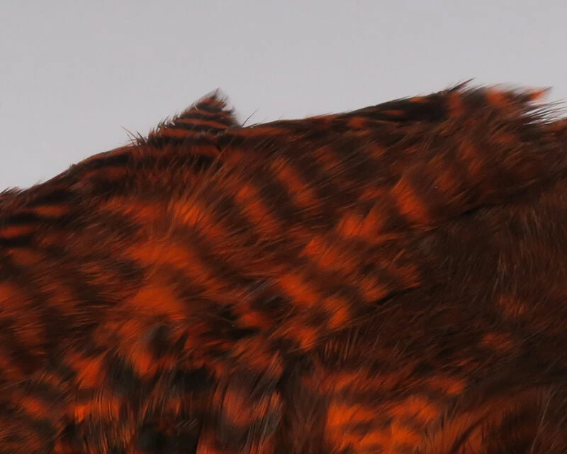 Hareline Grizzly Soft Hackle Marabou Patch 2 Hareline Grizzly Soft Hackle Marabou Patch - Image 2