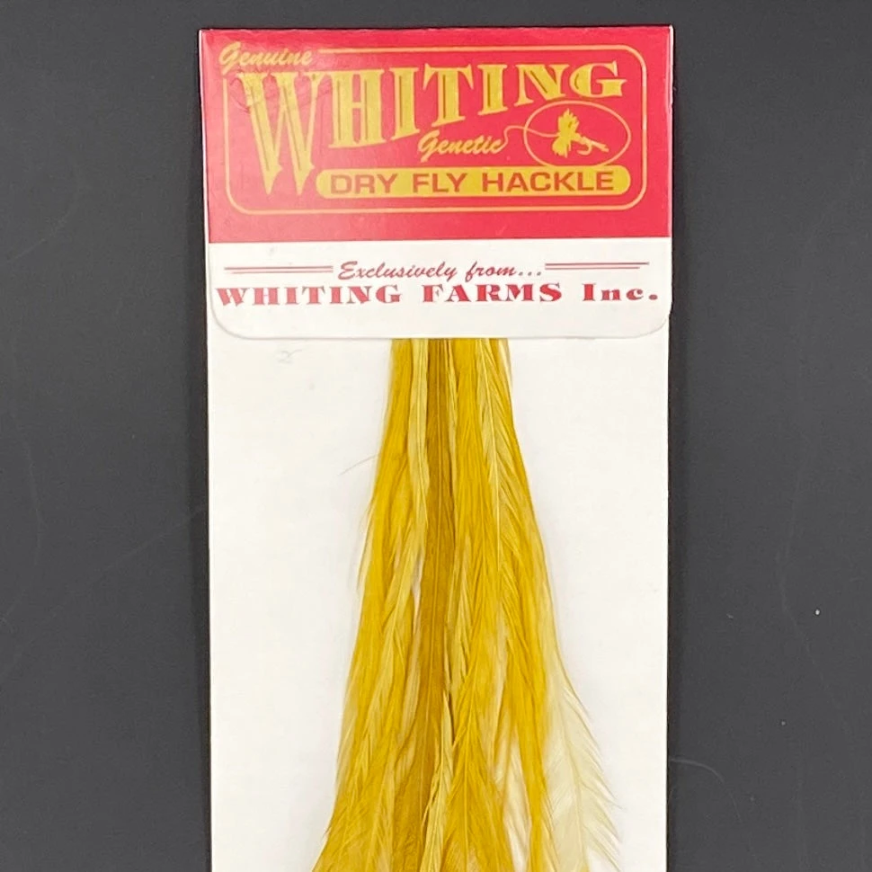Whiting 100 Pack Dry Fly Hackle - White Dyed Golden Olive - 12 1 Whiting 100 Pack Dry Fly Hackle - White Dyed Golden Olive - 12