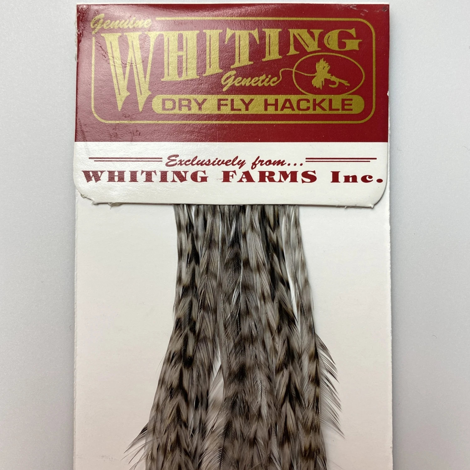 Whiting 100 Pack Dry Fly Hackle - Grizzly Dyed Medium Dun - 14 1 Whiting 100 Pack Dry Fly Hackle - Grizzly Dyed Medium Dun - 14