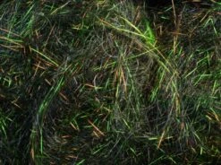 Arizona Diamond Hair 32 Arizona Diamond Hair -Fishing Equipment Store Hair Black