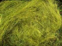 Arizona Diamond Hair 21 Arizona Diamond Hair -Fishing Equipment Store Hair Olive