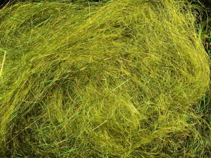 Arizona Diamond Hair 5 Arizona Diamond Hair - Image 5