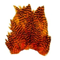 Whiting Bugger Hackle Patch -Fishing Equipment Store IMG 0227