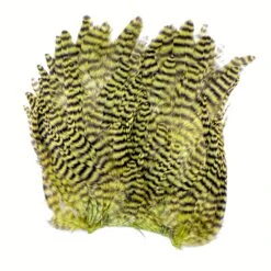 Whiting Bugger Hackle Patch -Fishing Equipment Store IMG 0229