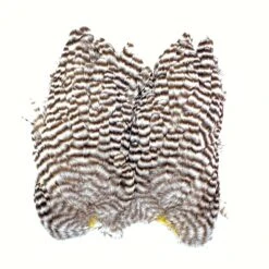 Whiting Bugger Hackle Patch -Fishing Equipment Store IMG 0230