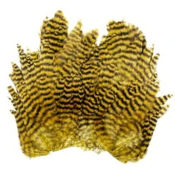 Whiting Bugger Hackle Patch -Fishing Equipment Store IMG 0231