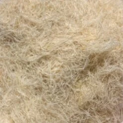 Swiss CDC Dubbing -Fishing Equipment Store IMG 4052