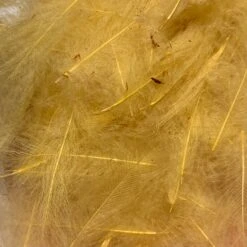 Swiss CDC 100% Natural Dyed Grade -Fishing Equipment Store IMG 4217