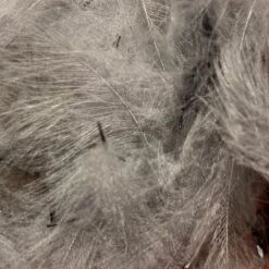 Swiss CDC 100% Natural Dyed Grade -Fishing Equipment Store IMG 4220