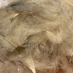 Swiss CDC 100% Natural Dyed Grade -Fishing Equipment Store IMG 4221