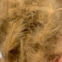 Swiss CDC 100% Natural Dyed Grade -Fishing Equipment Store IMG 4223