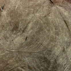 TroutHunter Premium Bulk CDC -Fishing Equipment Store IMG 5011