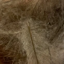 TroutHunter Premium Bulk CDC -Fishing Equipment Store IMG 5015