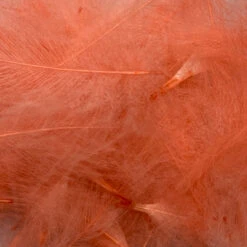 Swiss CDC Super Select Grade -Fishing Equipment Store IMG 6407