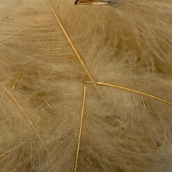 Swiss CDC Super Select Grade -Fishing Equipment Store IMG 6411