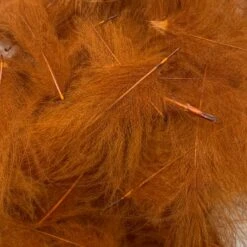 Swiss CDC Super Select Grade -Fishing Equipment Store IMG 6413