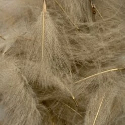 Swiss CDC Super Select Grade -Fishing Equipment Store IMG 6435