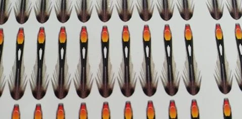 Semperfli Synthetic Jungle Cock Cheeks 5 Semperfli Synthetic Jungle Cock Cheeks - Image 5