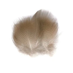 Wapsi Lemon Barred Wood Duck