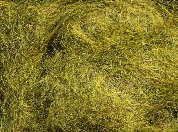 MFC - Arizona Simi Seal Mega Dub 5 MFC - Arizona Simi Seal Mega Dub - Image 5