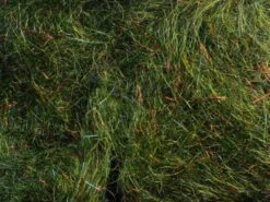 MFC - Arizona Simi Seal Mega Dub 15 MFC - Arizona Simi Seal Mega Dub -Fishing Equipment Store Mega Watermelon Red 8e5b7296 2bde 4160 98fd 9a9da285fe52