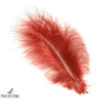 Nature's Spirit Prime Marabou - Long