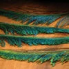 Hareline Peacock Swords