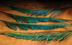 Hareline Peacock Swords