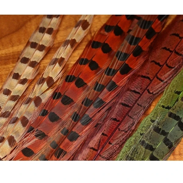 Hareline UV2 Ringneck Pheasant Tail 1 Hareline UV2 Ringneck Pheasant Tail