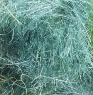 Semperfli SemperSeal Substitute Dubbing 6 Semperfli SemperSeal Substitute Dubbing - Image 6