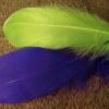 Select Goose Shoulder Feathers