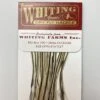 Whiting 100 Pack Dry Fly Hackle - Silver Badger - 14